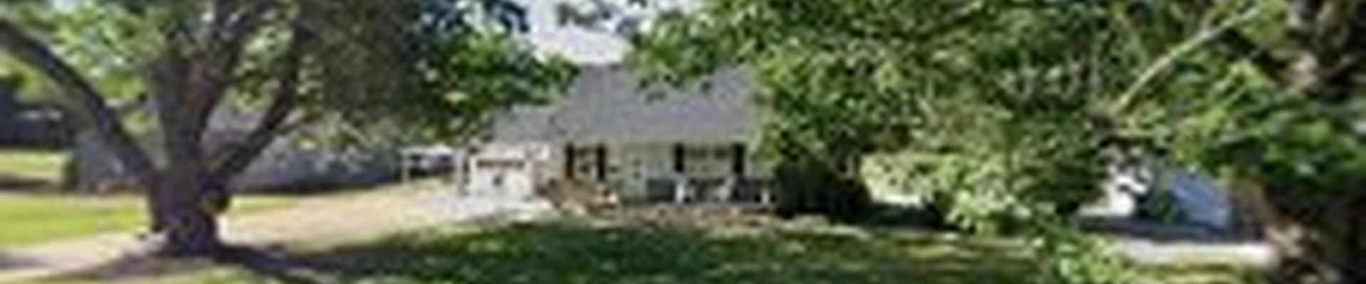 Express Tree Service