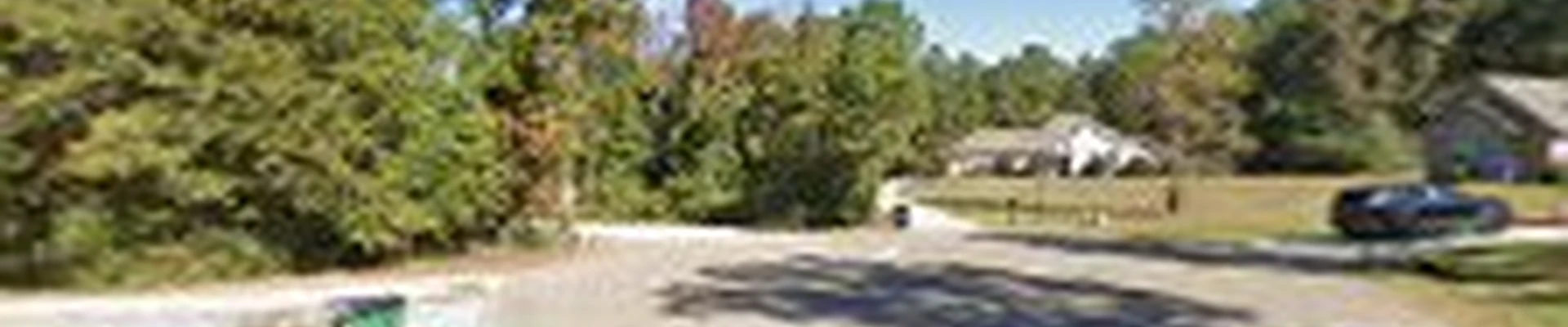 Affordable Tree Service