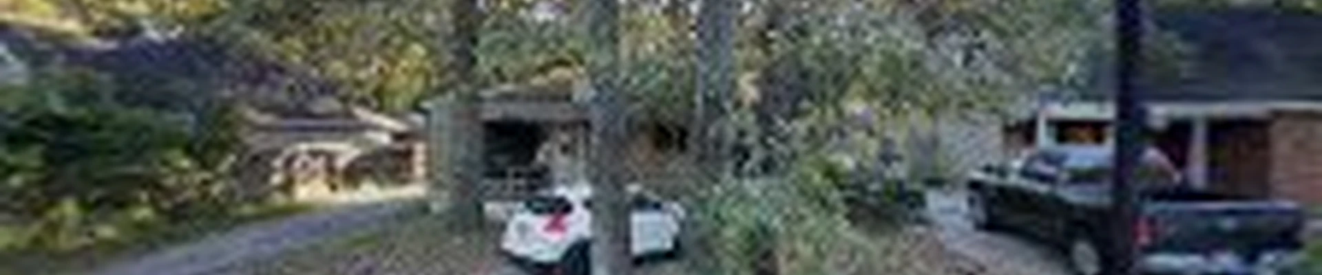R M Tree Care