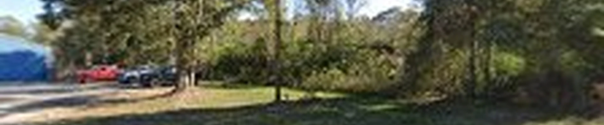 Tree Tech of Louisiana