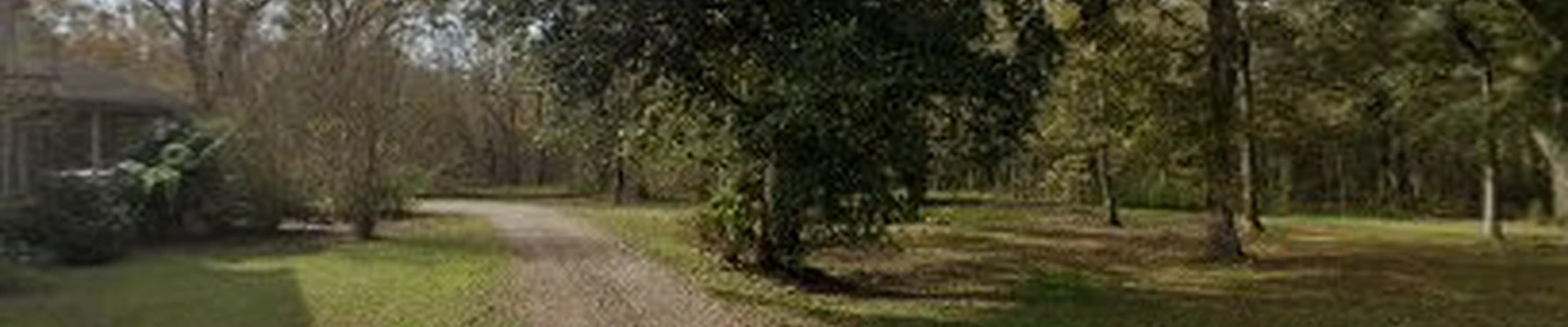Trees Unlimited