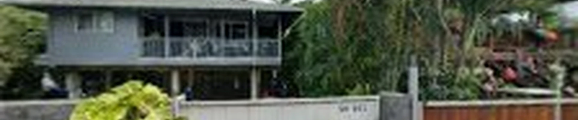 Hawaii Tree Co.