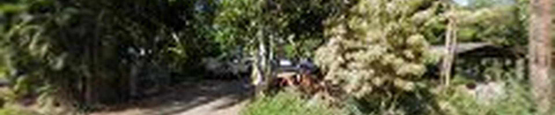 Tahitian Tree Services Inc
