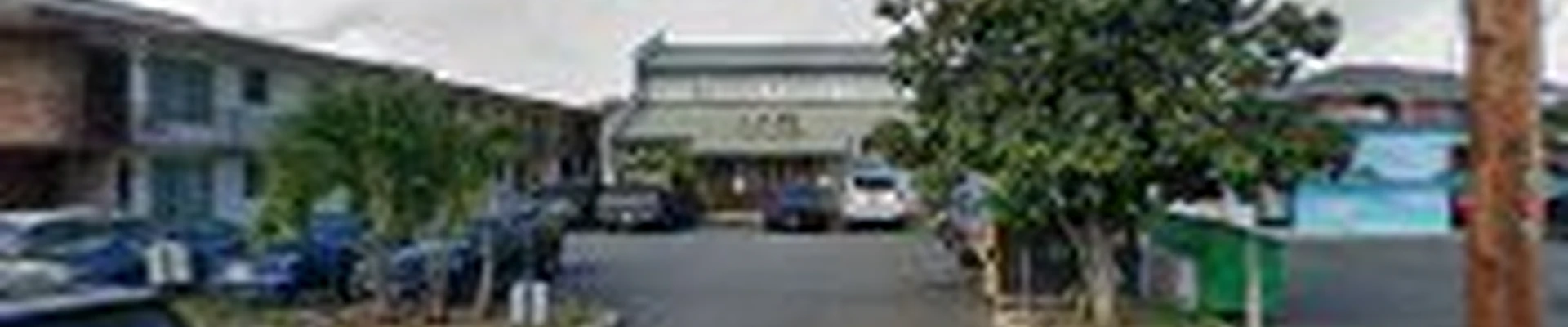 Mana Home Services