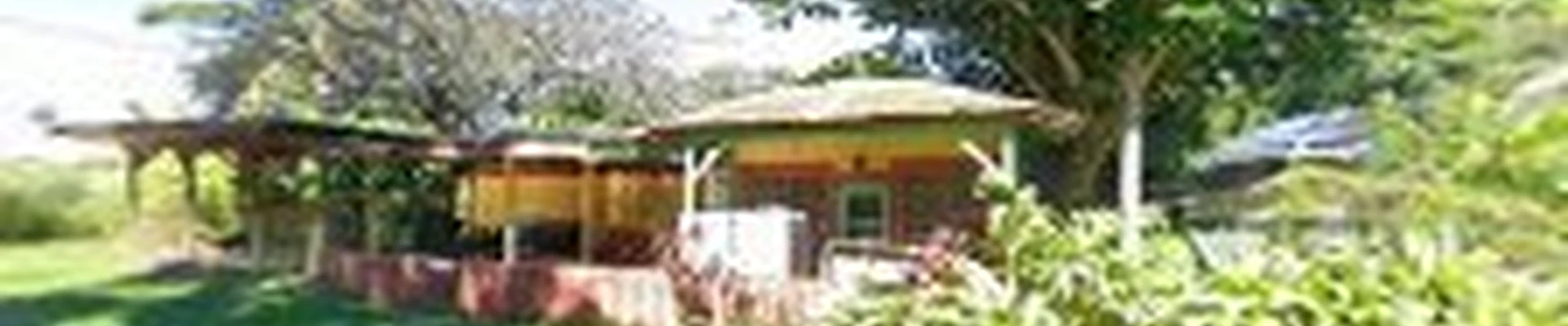 kohala tree service LLC