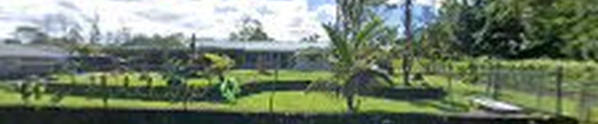 Mālama Tree Service