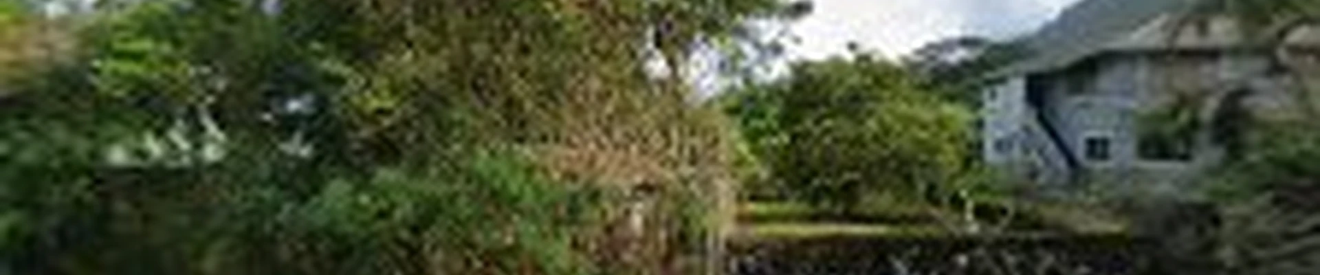 Malama Tree Care