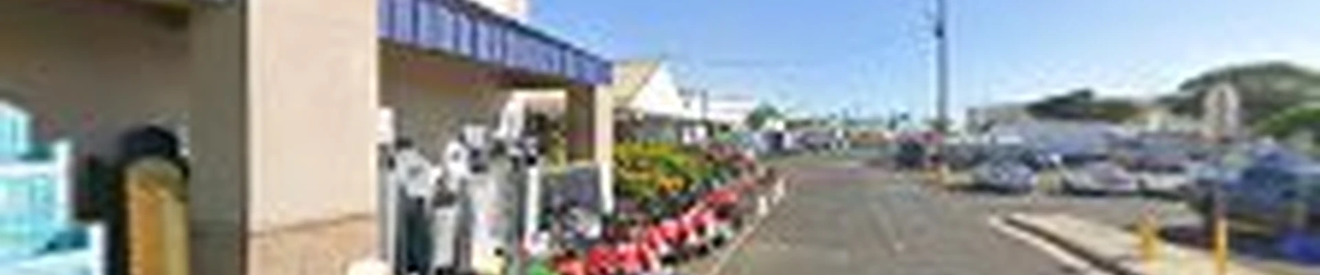 Lowe's Garden Center