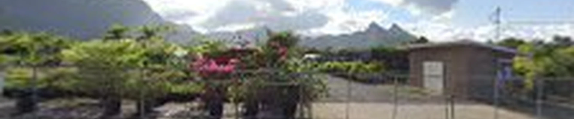 Big Rock Garden