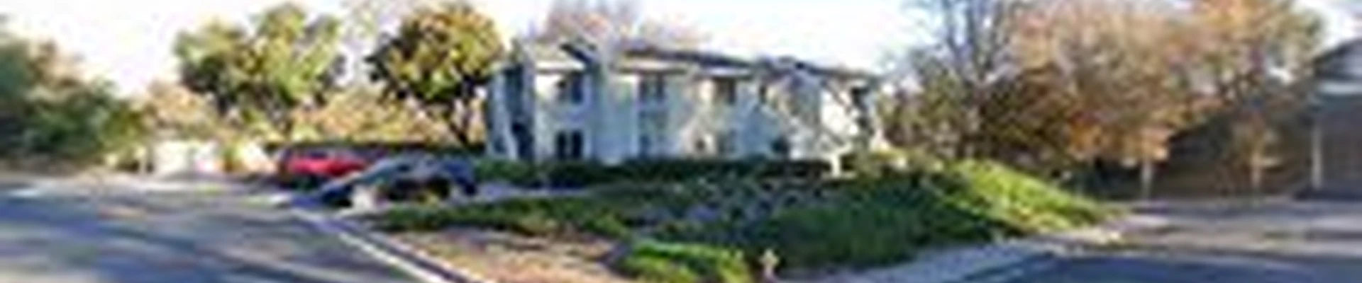 Upright Tree Service of Mission Viejo