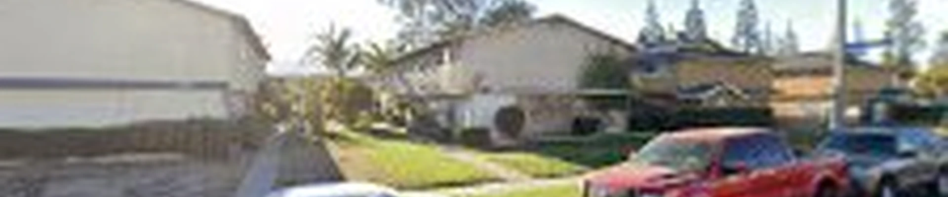 Albert Tree Service