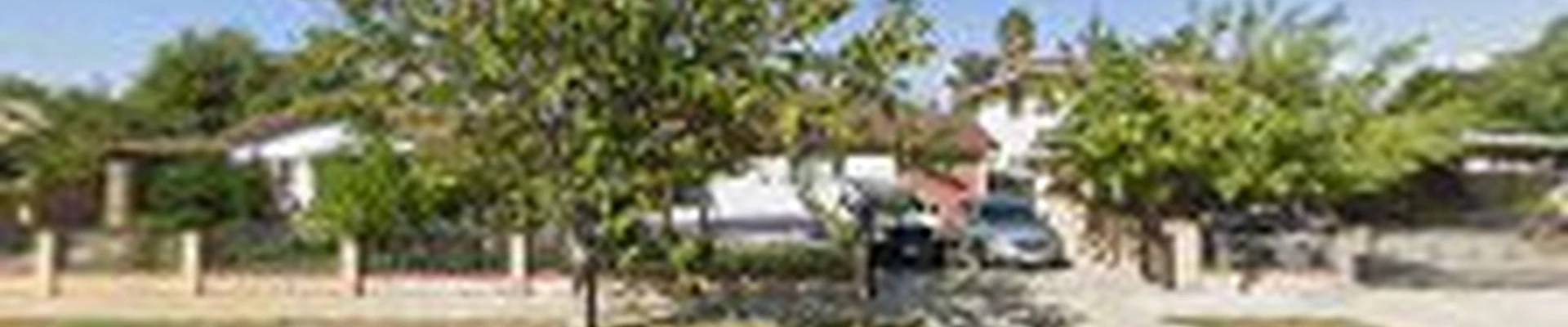 A & J Tree Service