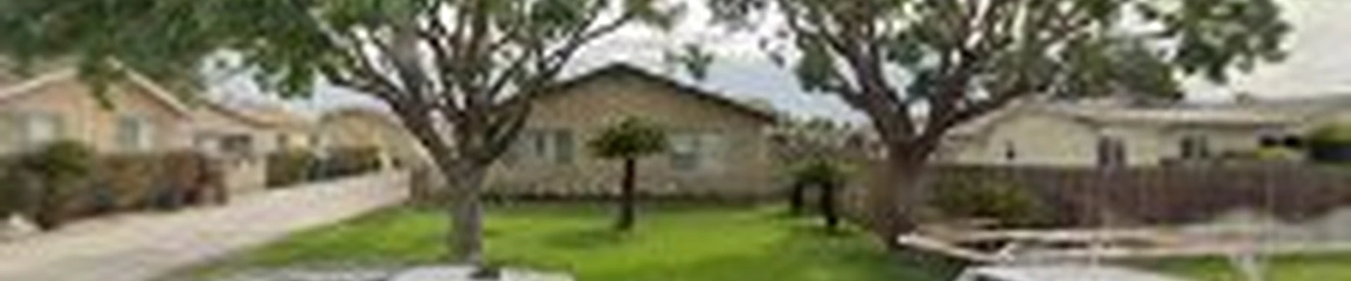 S&j natural tree service