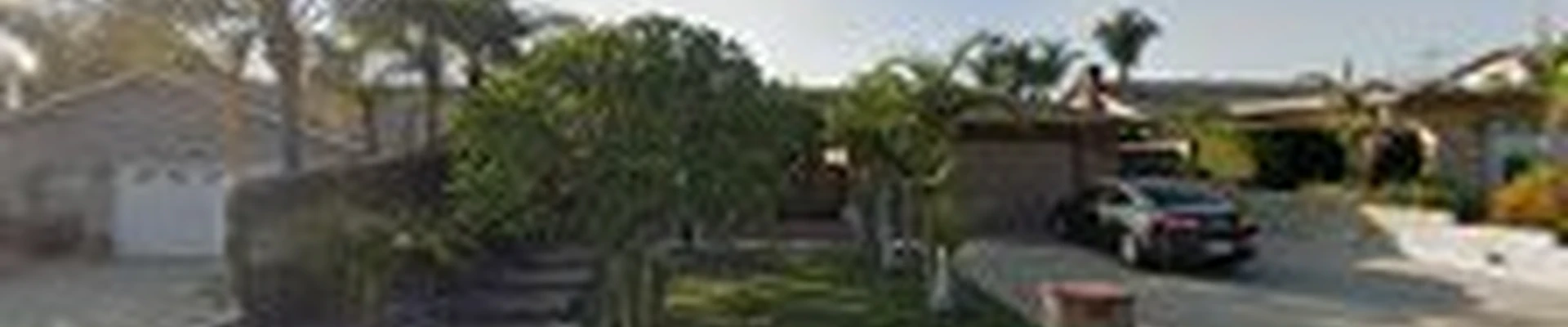 Sergio's Tree Service