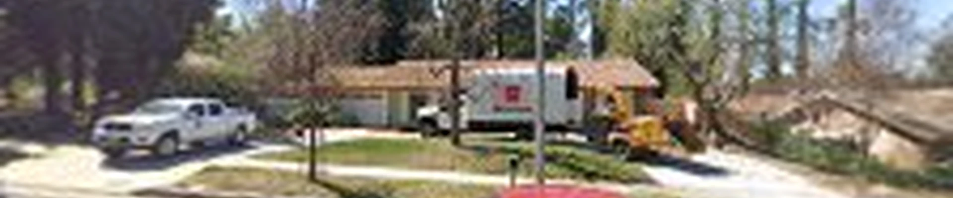 HLS Tree Service