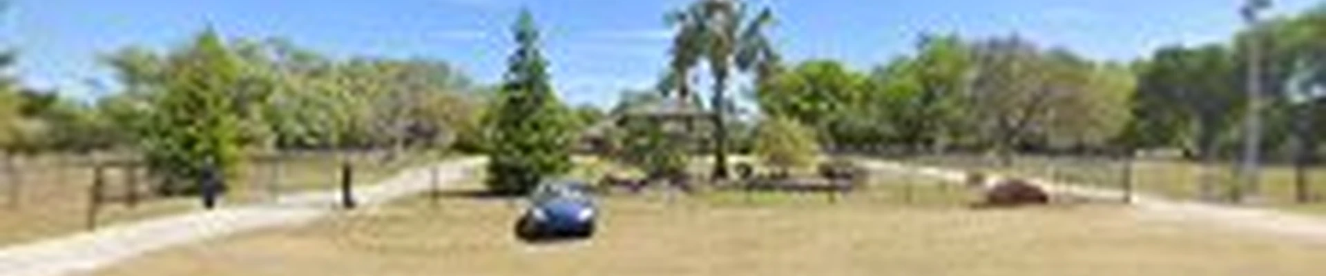South Lake Tree Service