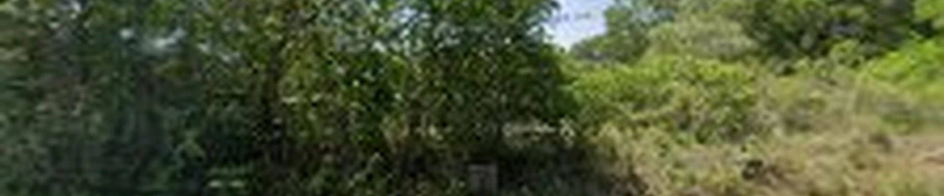 Climb Higher Tree Services, LLC.