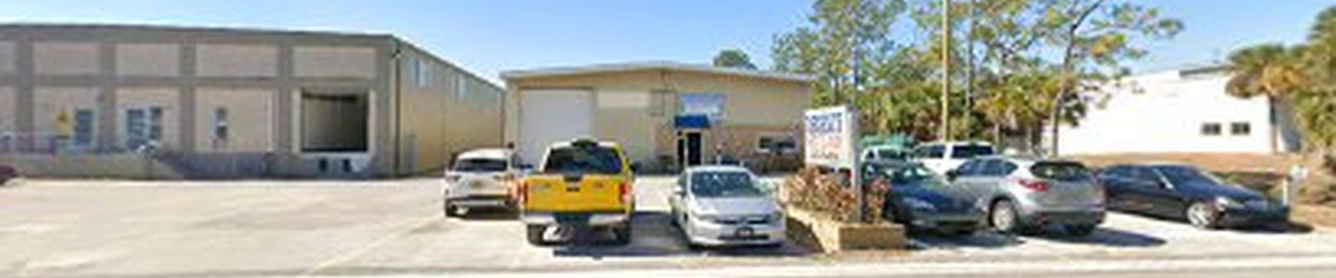 Tree Experts Orlando