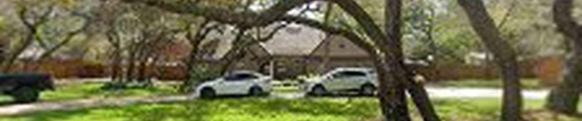 Tree Monkeys, Inc.