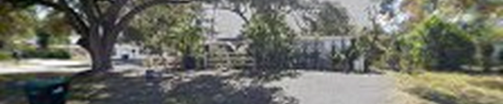 RENE TREE SERVICES