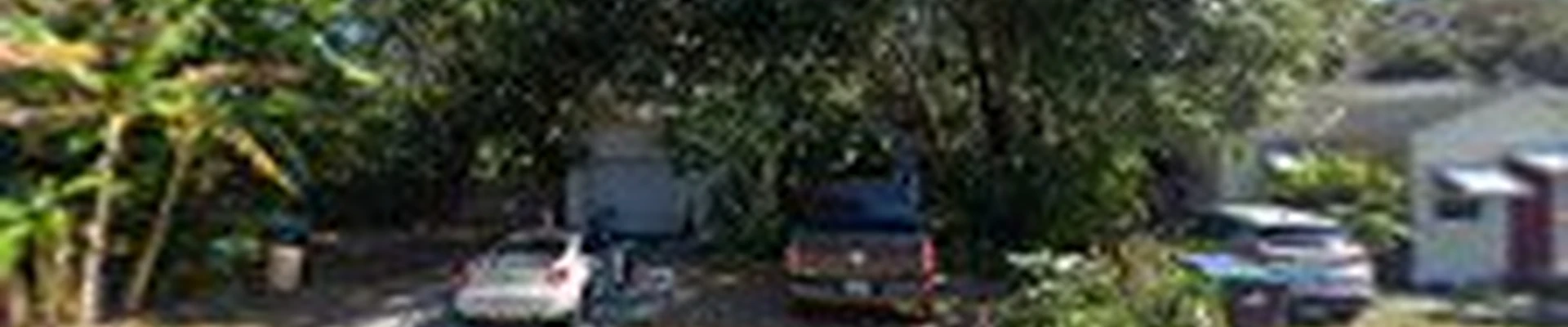 Cortez Tree Company