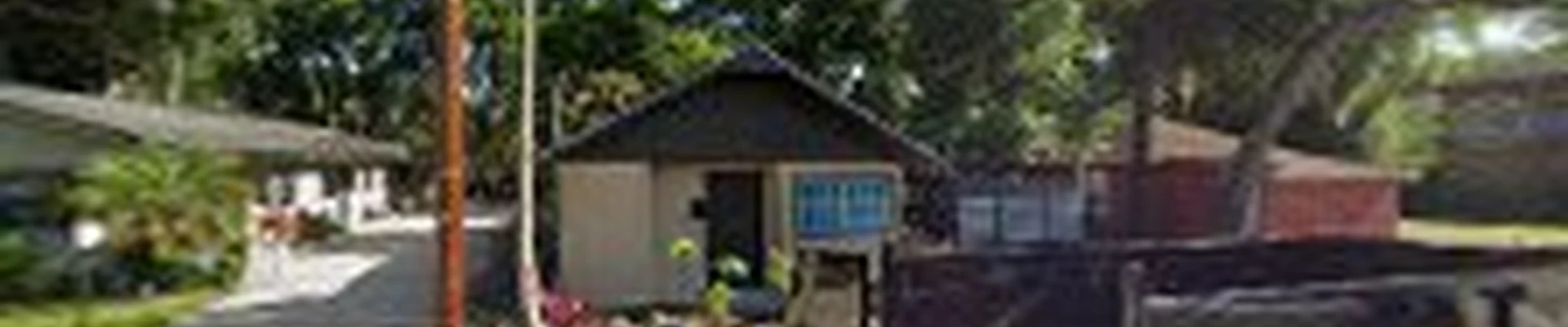 JUNGLE TREE & DEBRIS Outdoor Services