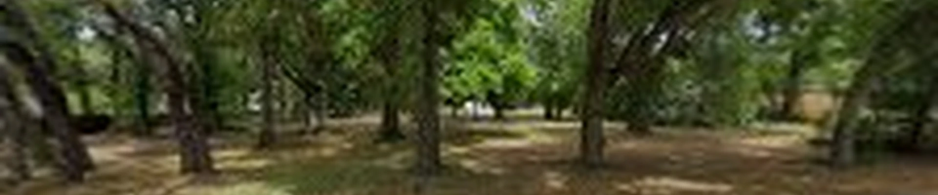 TTS Stump Grinding Services