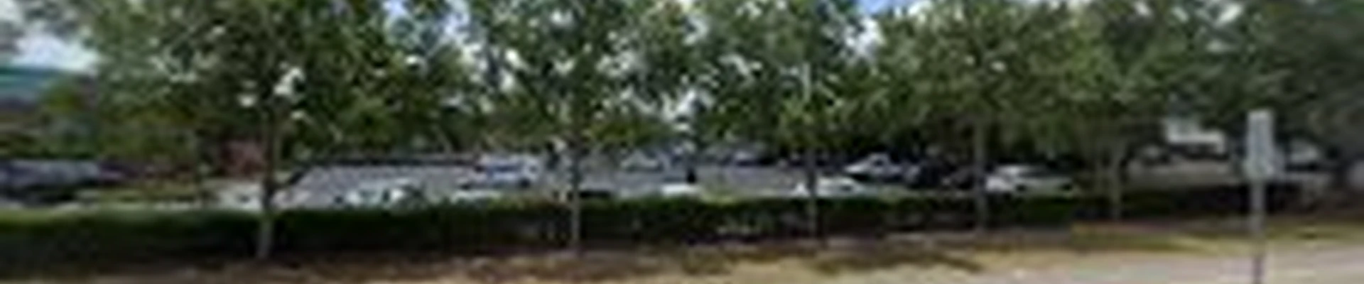 Premier Outdoor Tree Services