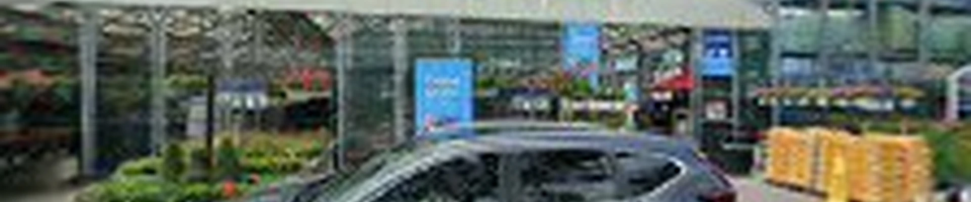 Lowe's Garden Center