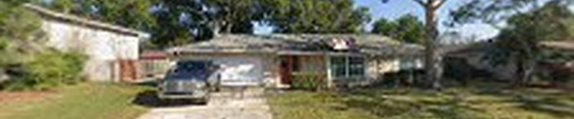 Advanced Professional Tree Service, Inc.
