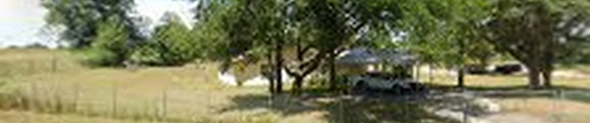 Enviro Tree Service