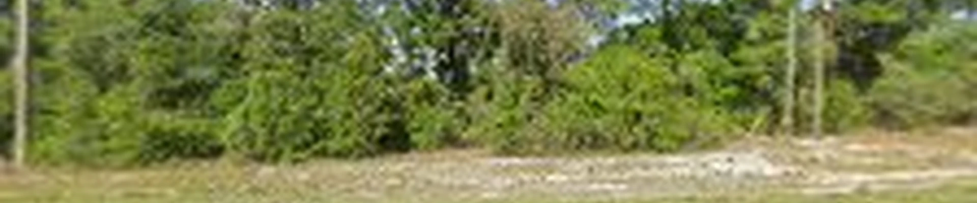 Davis Tree Service, Inc.