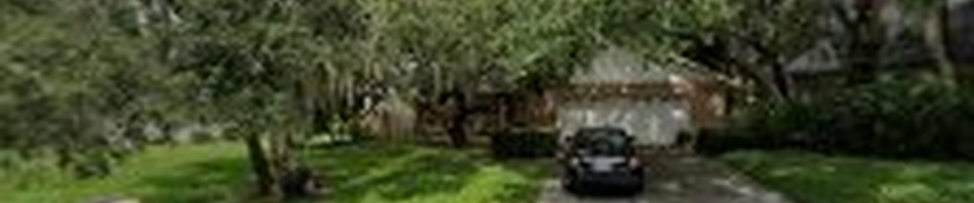 Local Land and Tree | Tree Trimming and Tree Removal Service