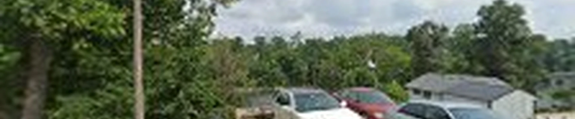 Mike Walton Tree Service