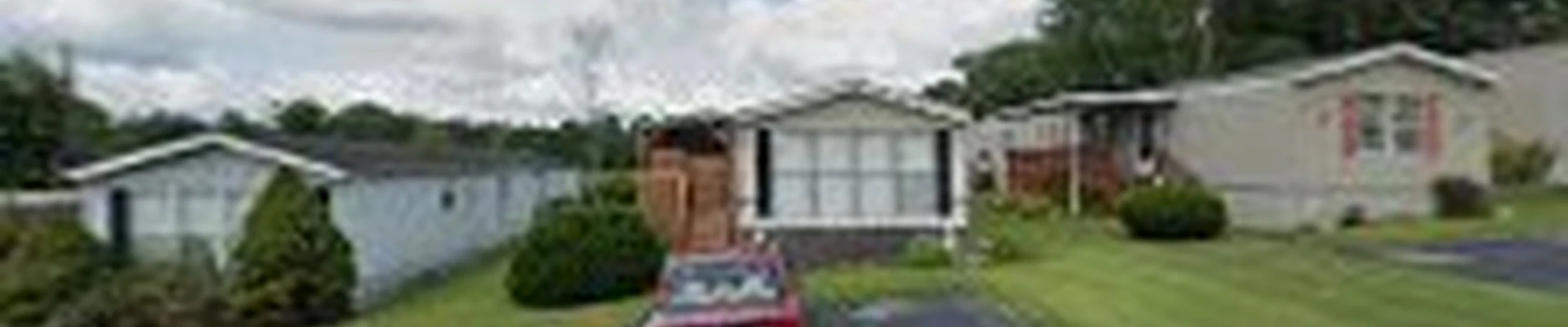 Calvo’s Tree Service & Landscape LLC