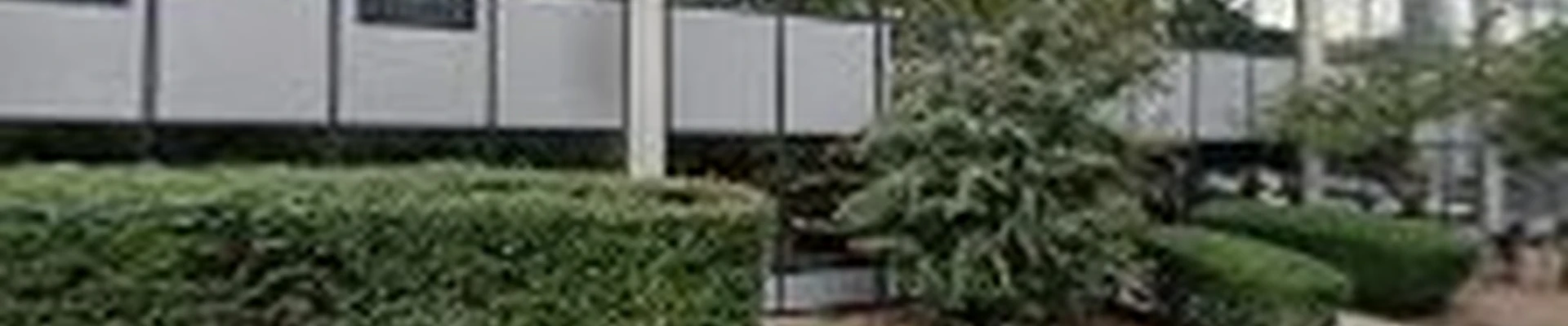 Horizon Tree Removal Lexington