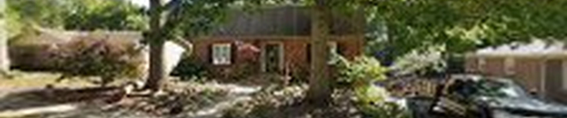 Apex Tree Services Lexington