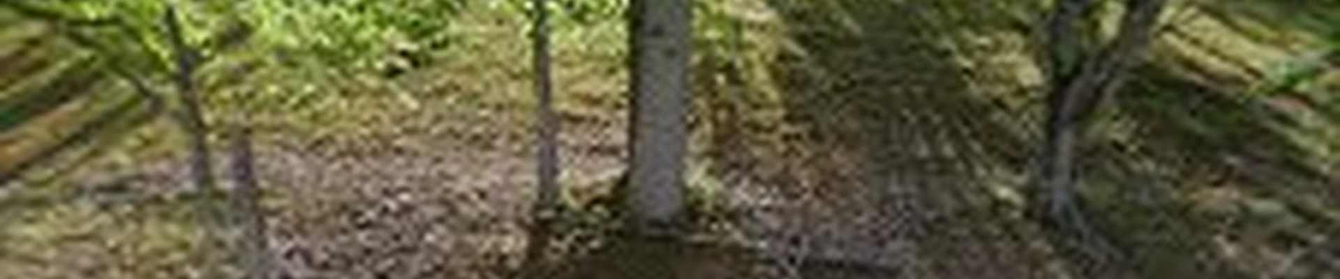 Turner Tree Service, LLC
