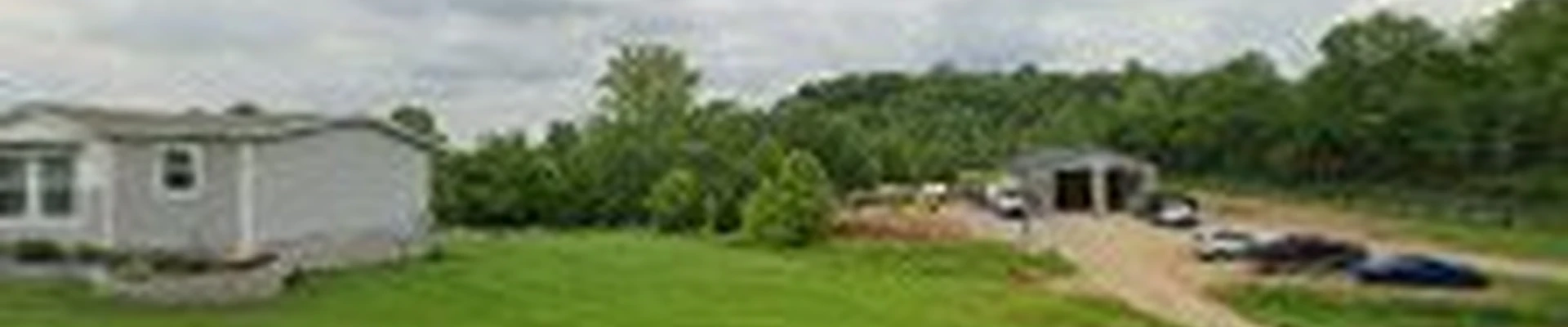Robison Tree Service