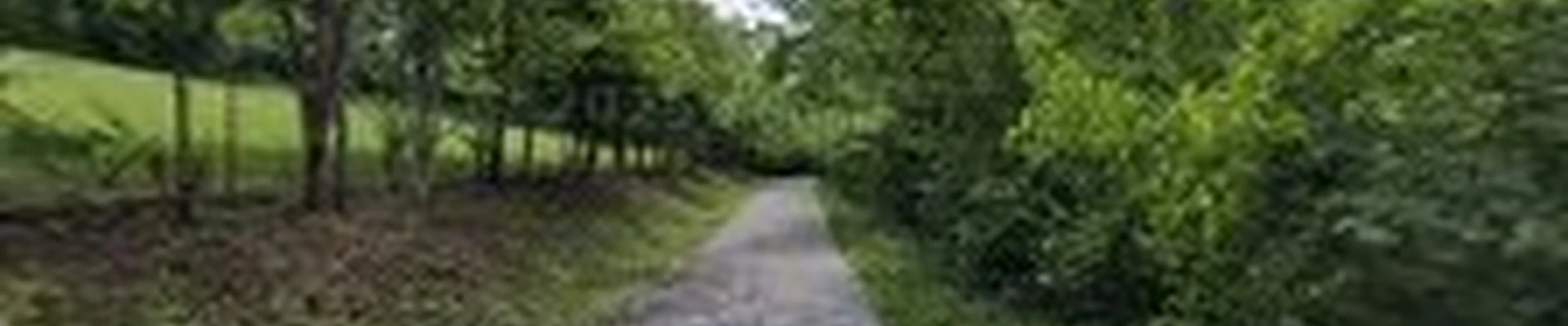Big Dawg Tree Service & Stump Grinding LLC