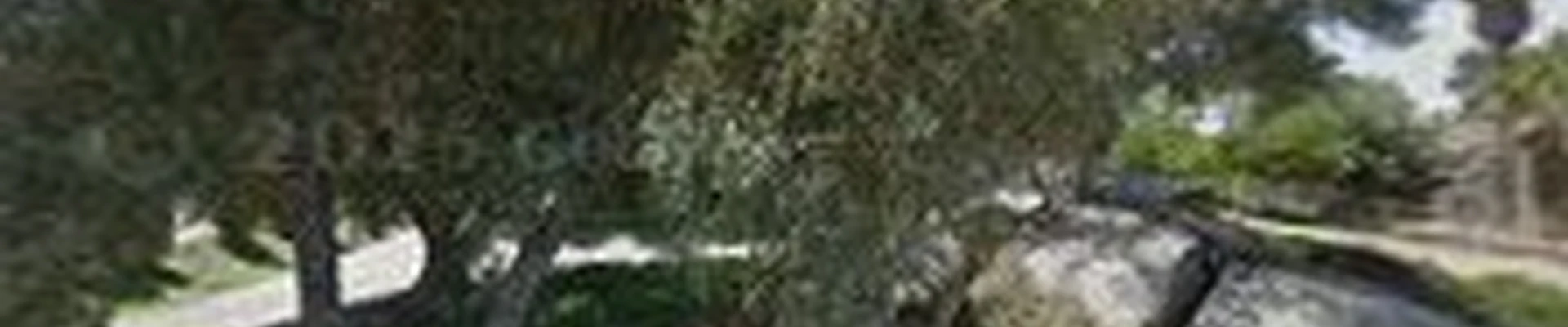 Great Green Arborists - Tree Service