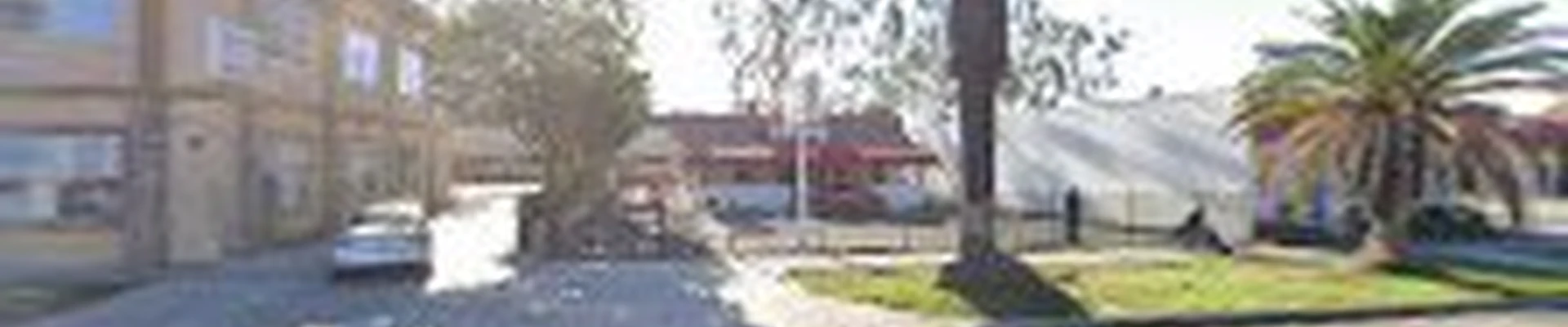 Tree Service Riverside City