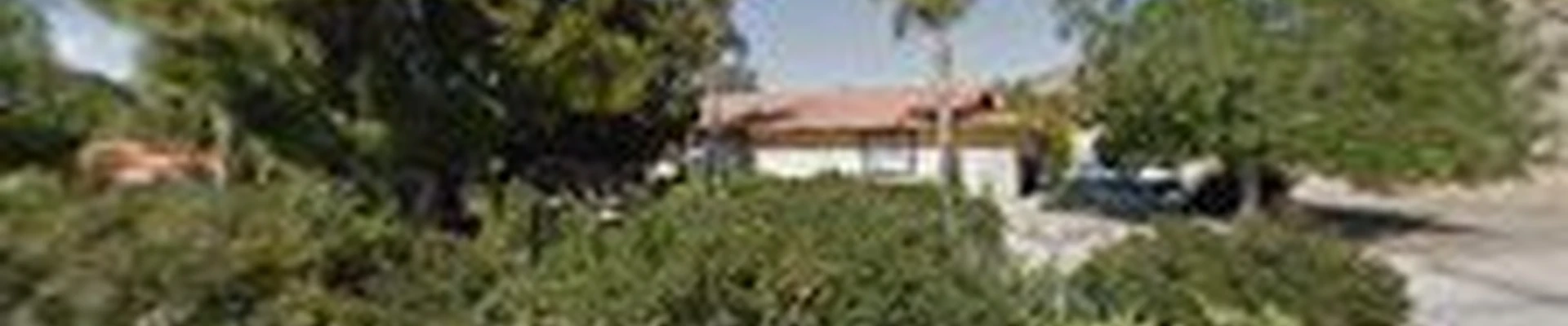 ST Tree Services