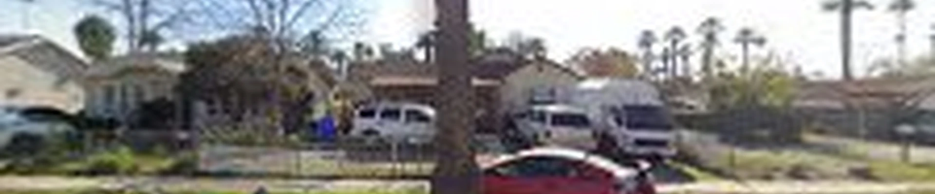 Tony Tree Service