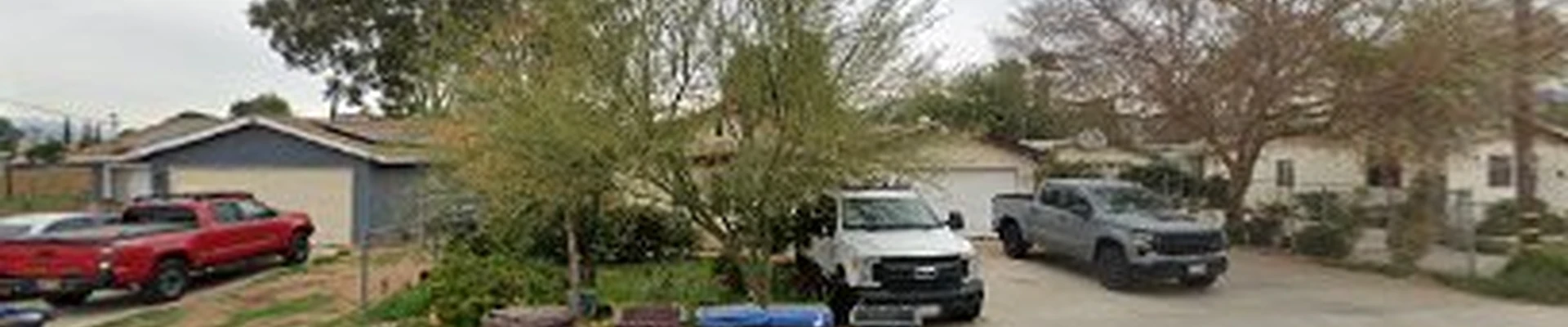 Pinedo Tree Service