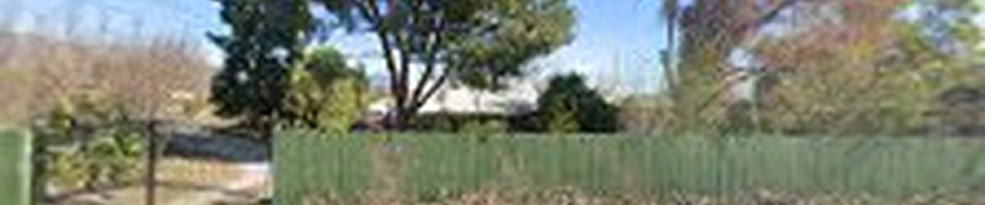 First Certified Arbor Care