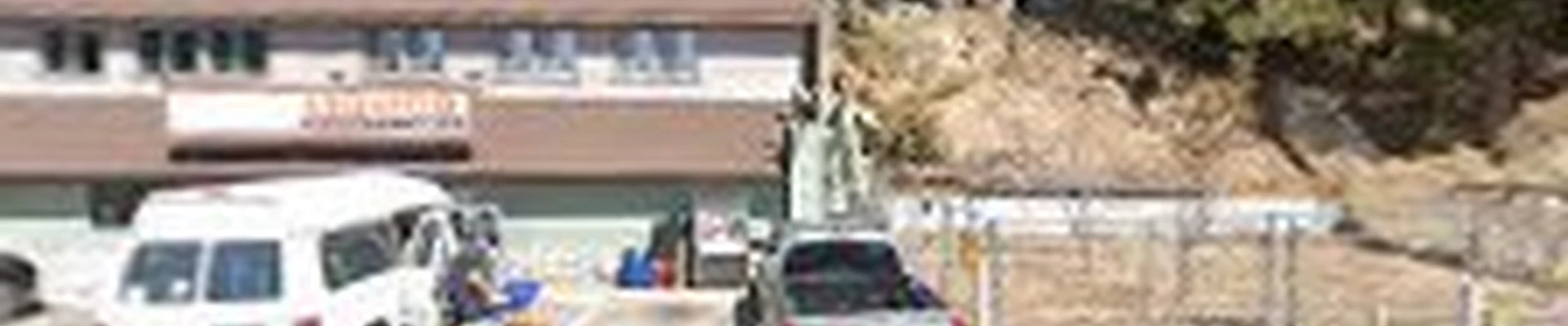 Heights tree service inc