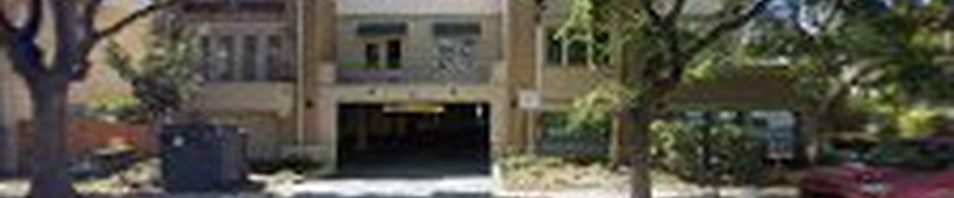 San Luis Obispo Tree Service