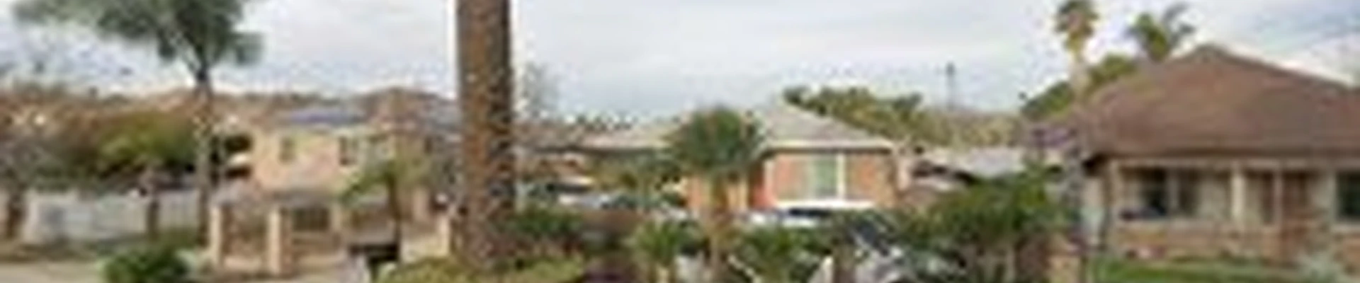 Andre Tree Services