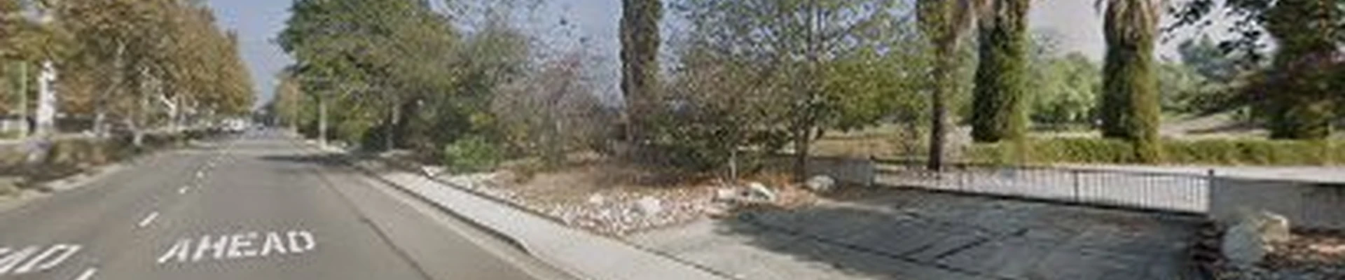 Tree Services Claremont